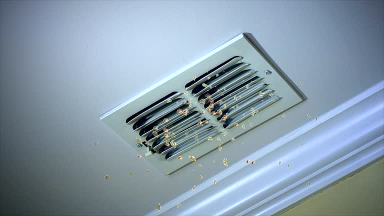 Best Affordable Air Duct Cleaning  in East Prairie, MO